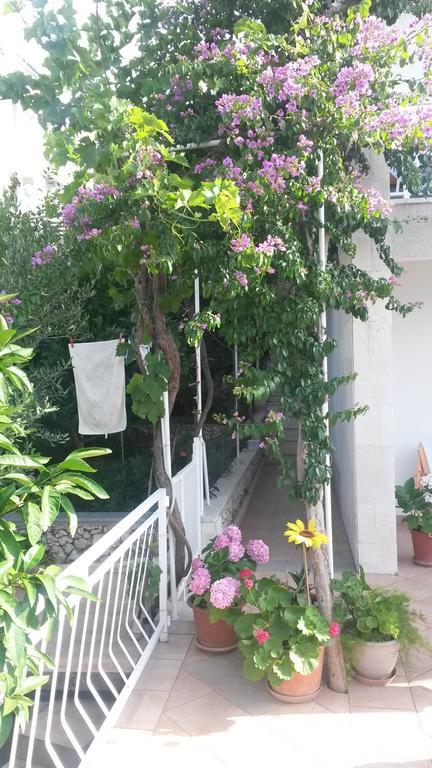 Apartments Dragan Trogir Dış mekan fotoğraf